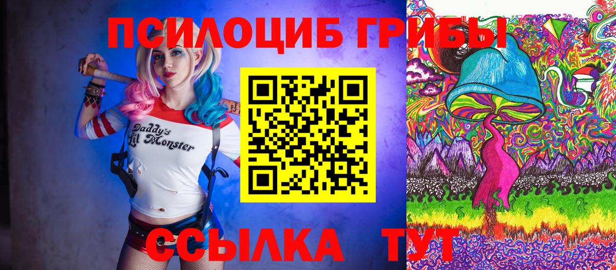 Галлюциногенные грибы Psilocybine cubensis  Вход с VPN  Галлюциногенные грибы Cubensis  Сафоново 